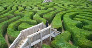Labirinto com sebes altas e plataforma central com visitantes, simbolizando a estrutura organizada e acessível do site do Lar Sítio da Luz.